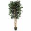 Sztuczne drzewo Ficus Benjamin bordowe 170 cm