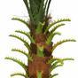 Sztuczna palma Daktylowa palma 80 cm