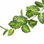 Girlanda sztuczna Taro Araceae zielona 190 cm