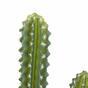 Kaktus sztuczny 69 cm