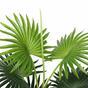 Sztuczna mini palma Livistona 65 cm