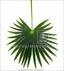 Palma sztuczna Livistona 90 cm