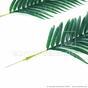 Palma ze sztucznego liścia Areca 120 cmca