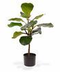 Roślina sztuczna Drzewo figowe 60 cm