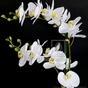 Roślina sztuczna Orchidea biała 65 cm