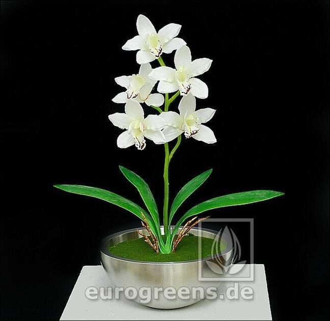 Roślina sztuczna Orchidea Cymbidium krem 50 cm