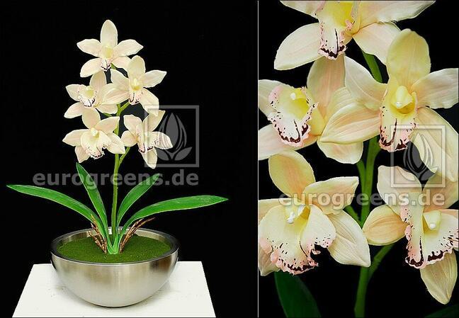 Roślina sztuczna Orchidea Cymbidium krem 50 cm