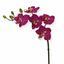 Roślina sztuczna Orchidea fioletowa 50 cm