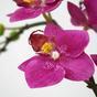 Roślina sztuczna Orchidea fioletowa 50 cm