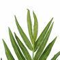 Sztuczna palma Kentia Howea 180 cm