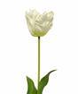 Sztuczna gałąź Tulipan krem 70 cm