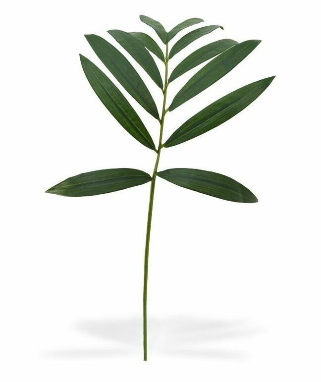 Sztuczna gałązka Chamédorea zgrabna 60 cm