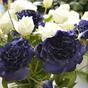 Sztuczna gałązka Eustoma niebieska 80 cm