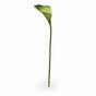 Sztuczna gałązka Kamelia zielono-biała 55 cm