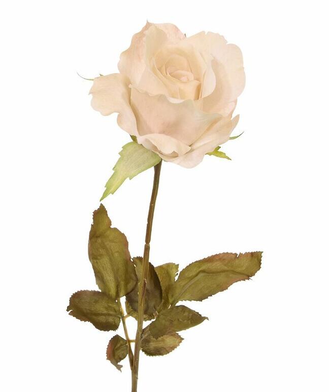 Sztuczna gałązka Kremowa róża 60 cm