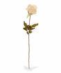 Sztuczna gałązka Kremowa róża 60 cm