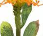 Sztuczna gałązka Leucadendron pomarańczowy 60 cm