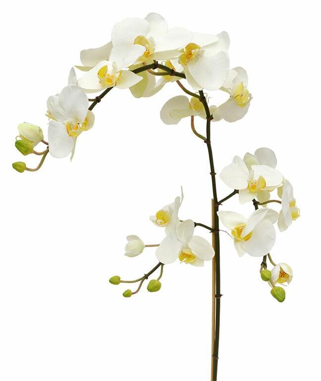 Sztuczna gałązka Orchidei biała 110 cm