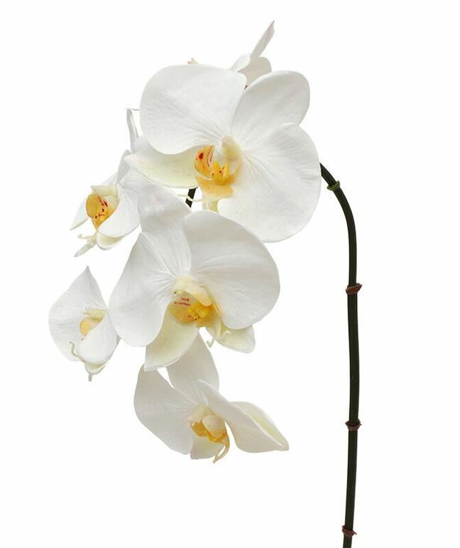 Sztuczna gałązka orchidei biała 55 cm