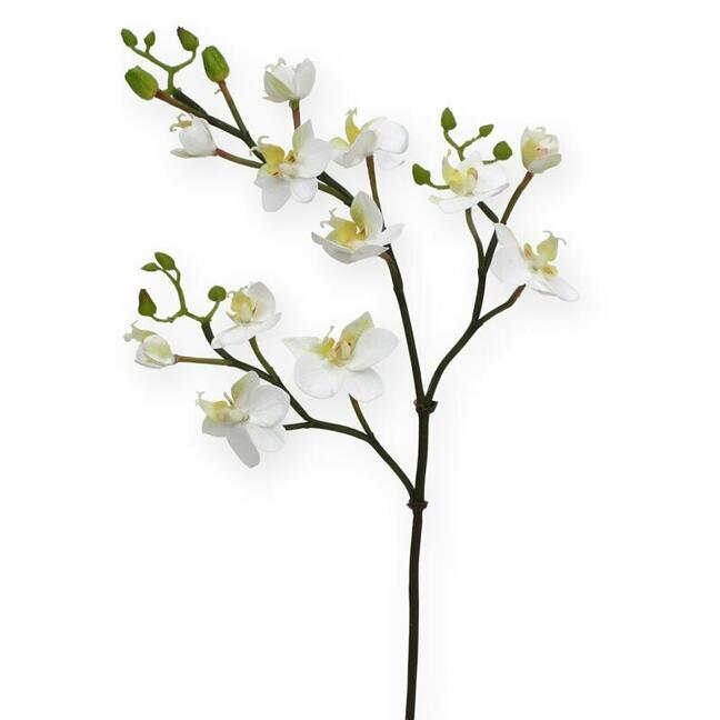 Sztuczna gałązka Orchidei biała 60 cm