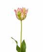Sztuczna gałązka Tulipan zielono-różowy 70 cm
