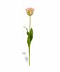 Sztuczna gałązka Tulipan zielono-różowy 70 cm