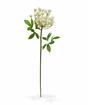 Sztuczna łodyga Krem koperkowy 55 cm