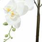 Sztuczna Orchidea biała 65 cm