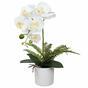 Sztuczna Orchidea biała z paprocią 37 cm