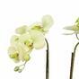 Sztuczna orchidea jasnozielona 50 cm