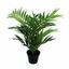 Sztuczna palma Chamédorea zgrabna 50 cm