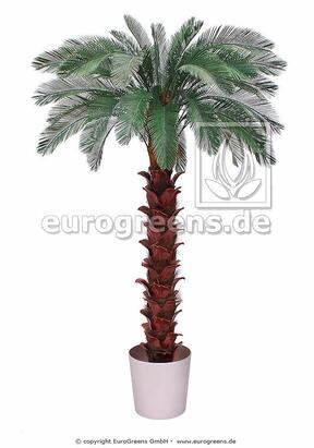 Sztuczna palma cycas 300 cm