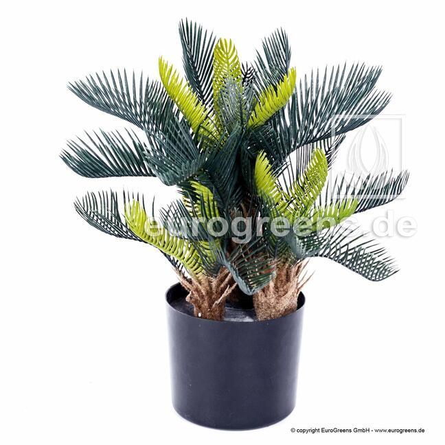 Sztuczna palma Cycas 50 cm