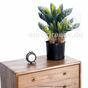 Sztuczna palma Cycas 50 cm