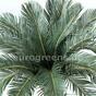 Sztuczna palma Cycas 90 cm