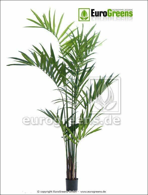 Sztuczna palma Kentia 240 cm