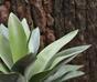 Sztuczna roślina agawa 25 cm