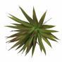 Sztuczna roślina Agawa bordowa 20 cm