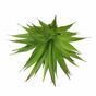 Sztuczna roślina Agawa zielona 18 cm