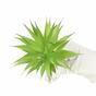 Sztuczna roślina Agawa zielona 18 cm