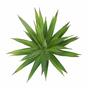 Sztuczna roślina Agawa zielona 20 cm