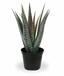 Sztuczna roślina Aloe Vera 30 cm