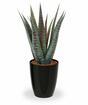 Sztuczna roślina Aloe Vera 30 cm