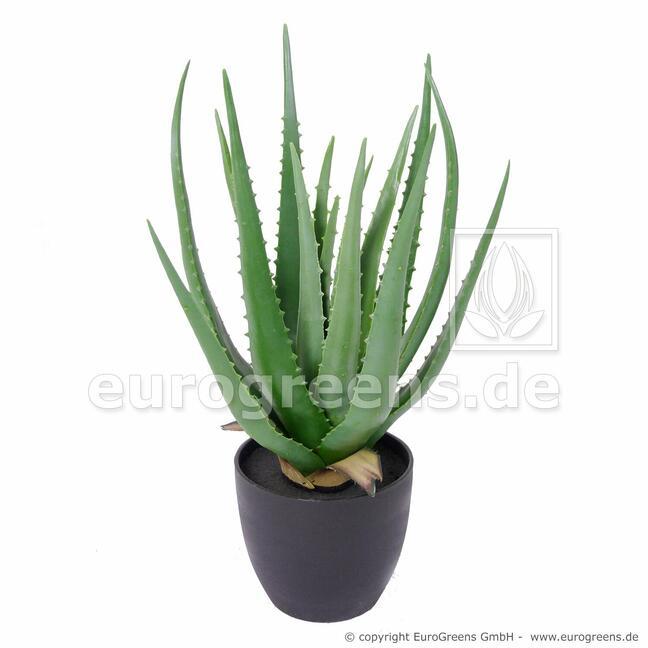 Sztuczna roślina Aloe Vera 45 cm