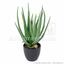 Sztuczna roślina Aloe Vera 45 cm