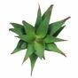 Sztuczna roślina Aloes 13,5 cm