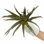 Sztuczna roślina Aloes 27 cm