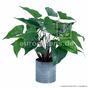 Sztuczna roślina Anturium 45 cm