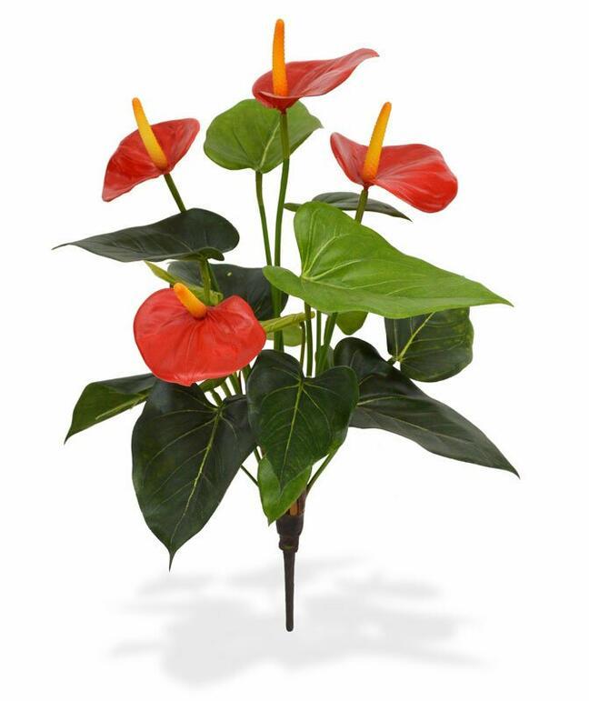 Sztuczna roślina Anturium czerwone 40 cm