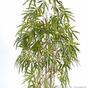 Sztuczna roślina Bambus chiński 150 cm